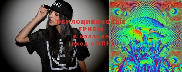 дмт Белокуриха