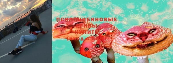 прущий лед Богородск
