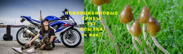 apvp Белоозёрский